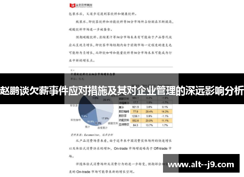 赵鹏谈欠薪事件应对措施及其对企业管理的深远影响分析