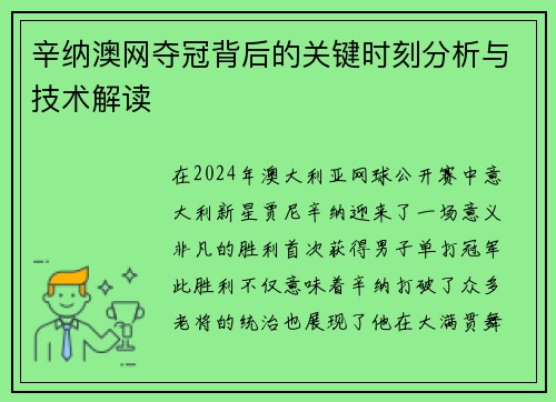 辛纳澳网夺冠背后的关键时刻分析与技术解读 辛纳澳网夺冠背后的关键时刻分析与技术解读