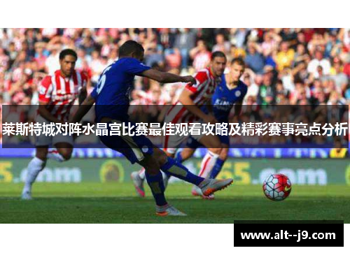 莱斯特城对阵水晶宫比赛最佳观看攻略及精彩赛事亮点分析
