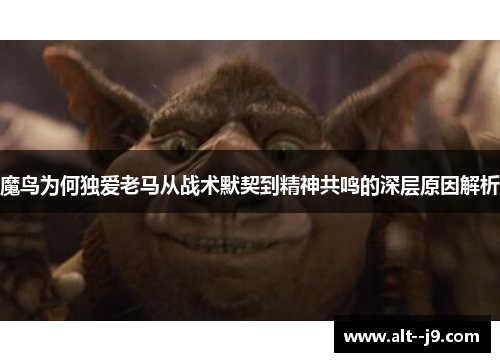 魔鸟为何独爱老马从战术默契到精神共鸣的深层原因解析